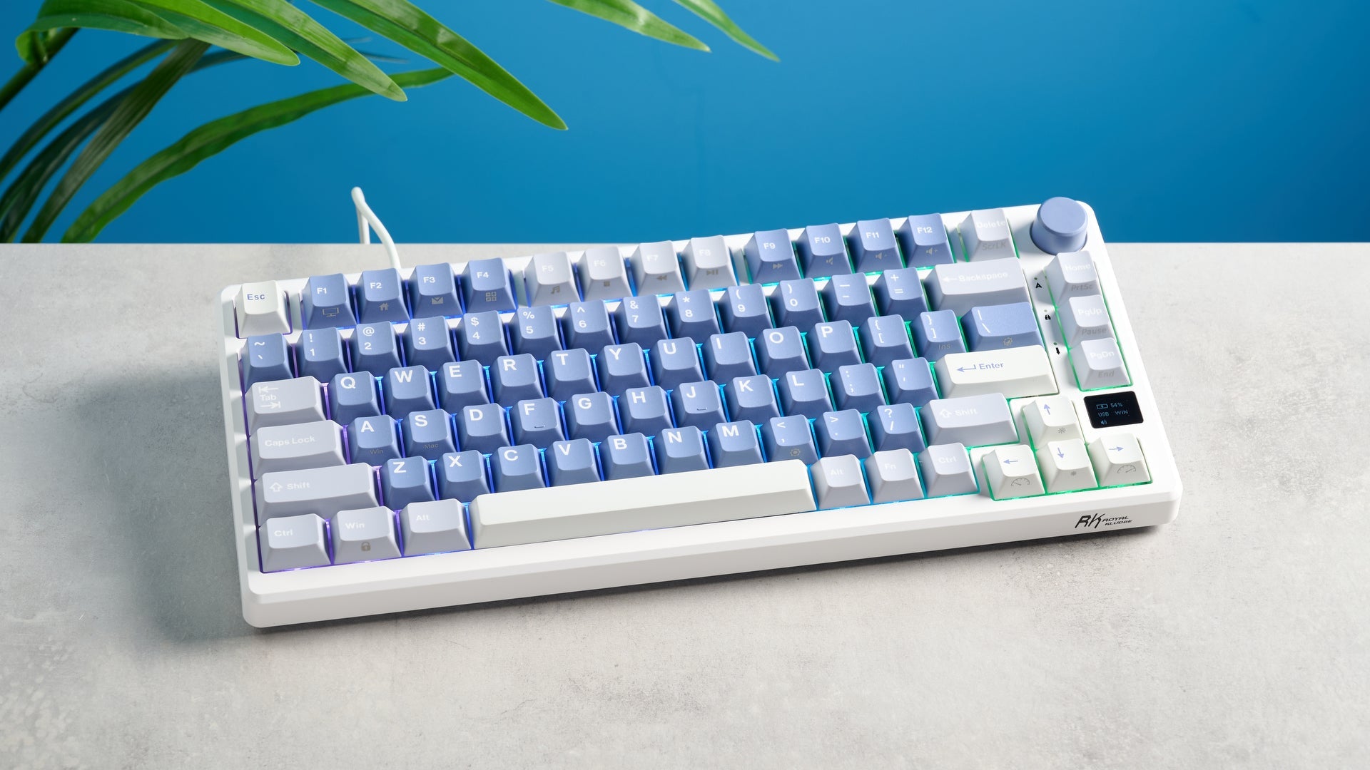 Royal Kludge M75: ¿vale la pena este teclado 75% para productividad y juego?